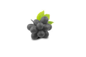 Weintraube schwarz zu Winzer und Genossenschaften der Vinothek im Restaurant Delikart